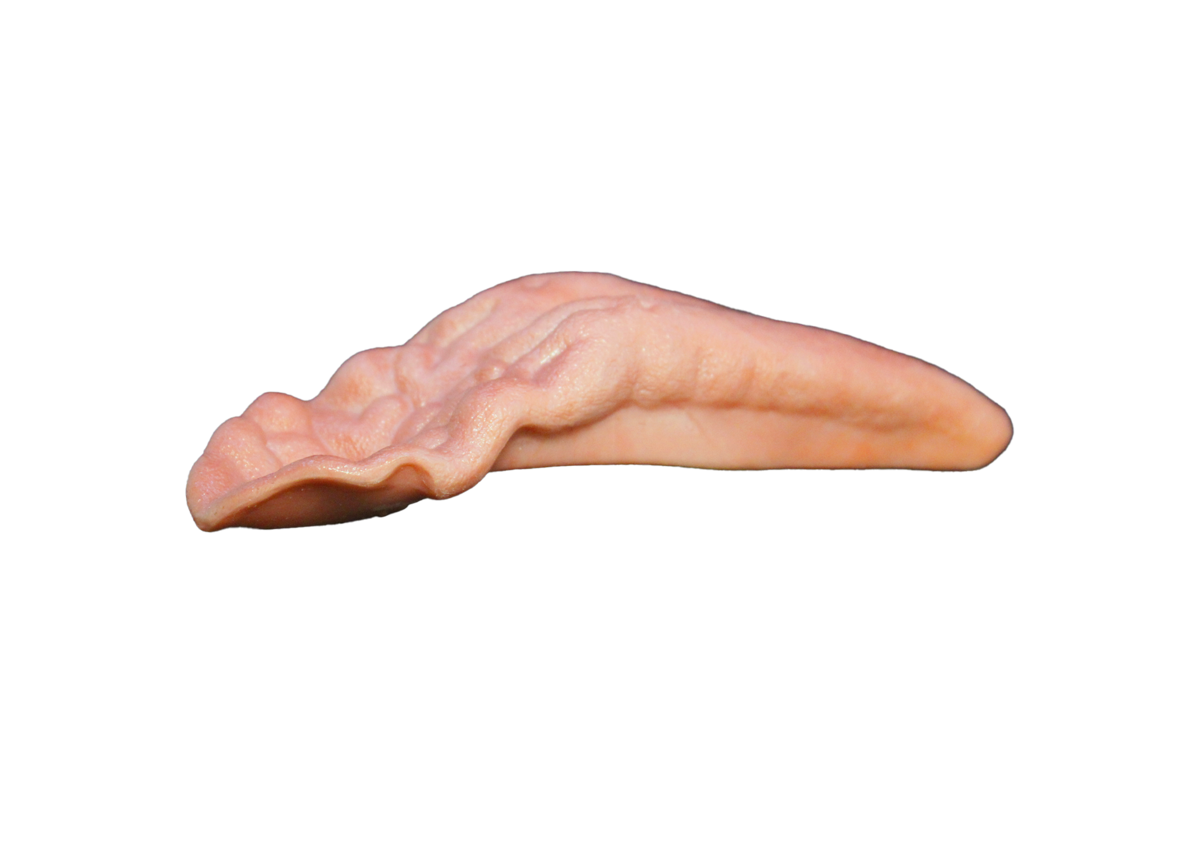 Wild Boar Tongue_S-1V419-S-01.